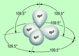 ibridi sp3