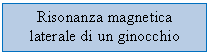 Text Box: Risonanza magnetica laterale di un ginocchio