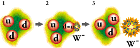 npe1.gif