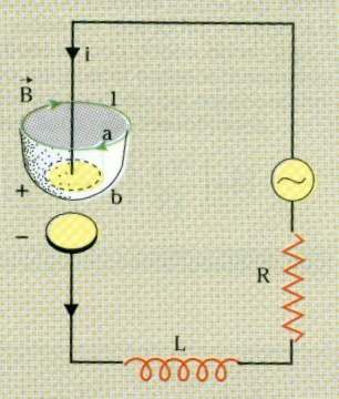 campereee.jpg (18123 byte)