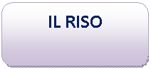 Rounded Rectangle: IL RISO